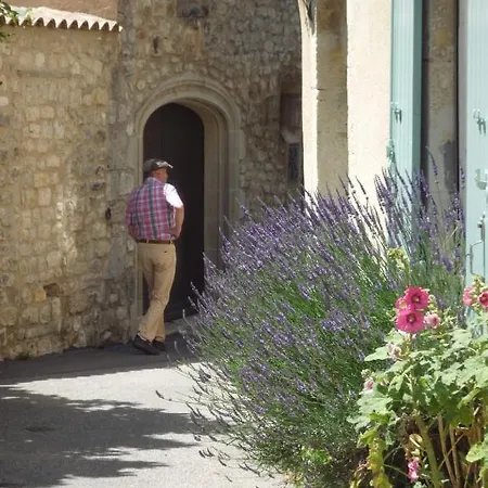 Les Arcades Le Lion D'or Buis-les-Baronnies
